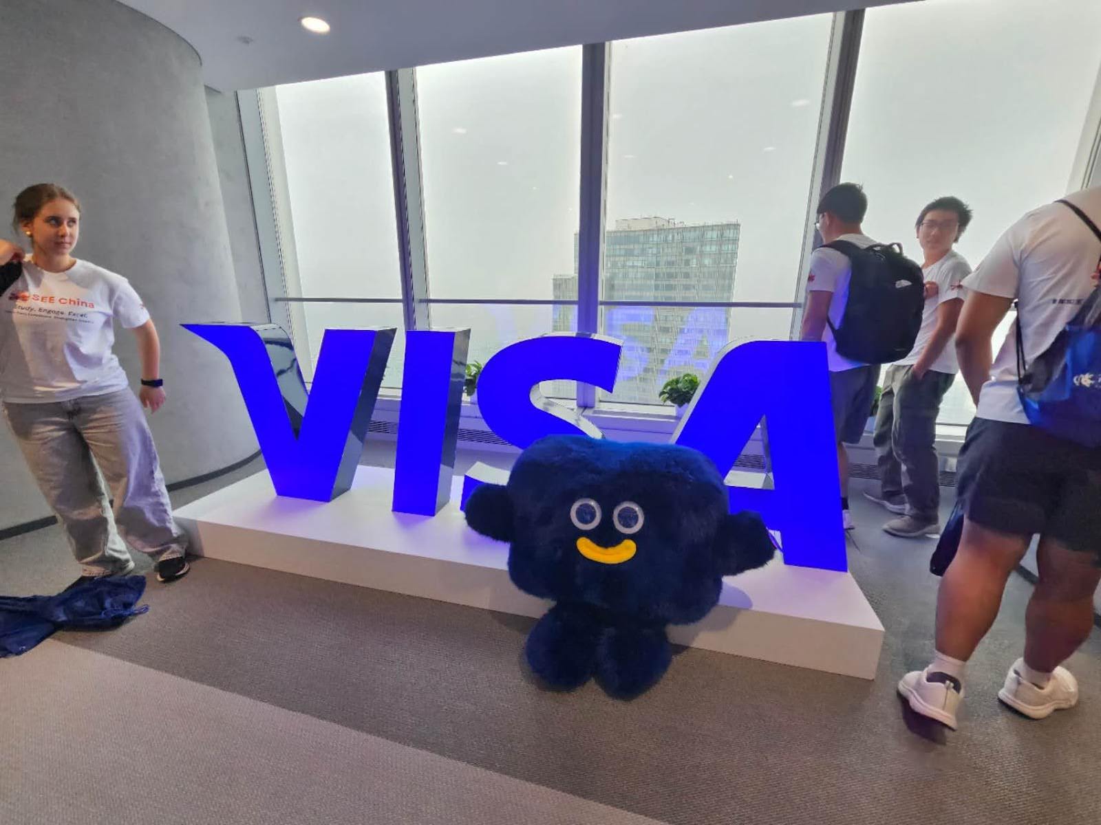 visa3