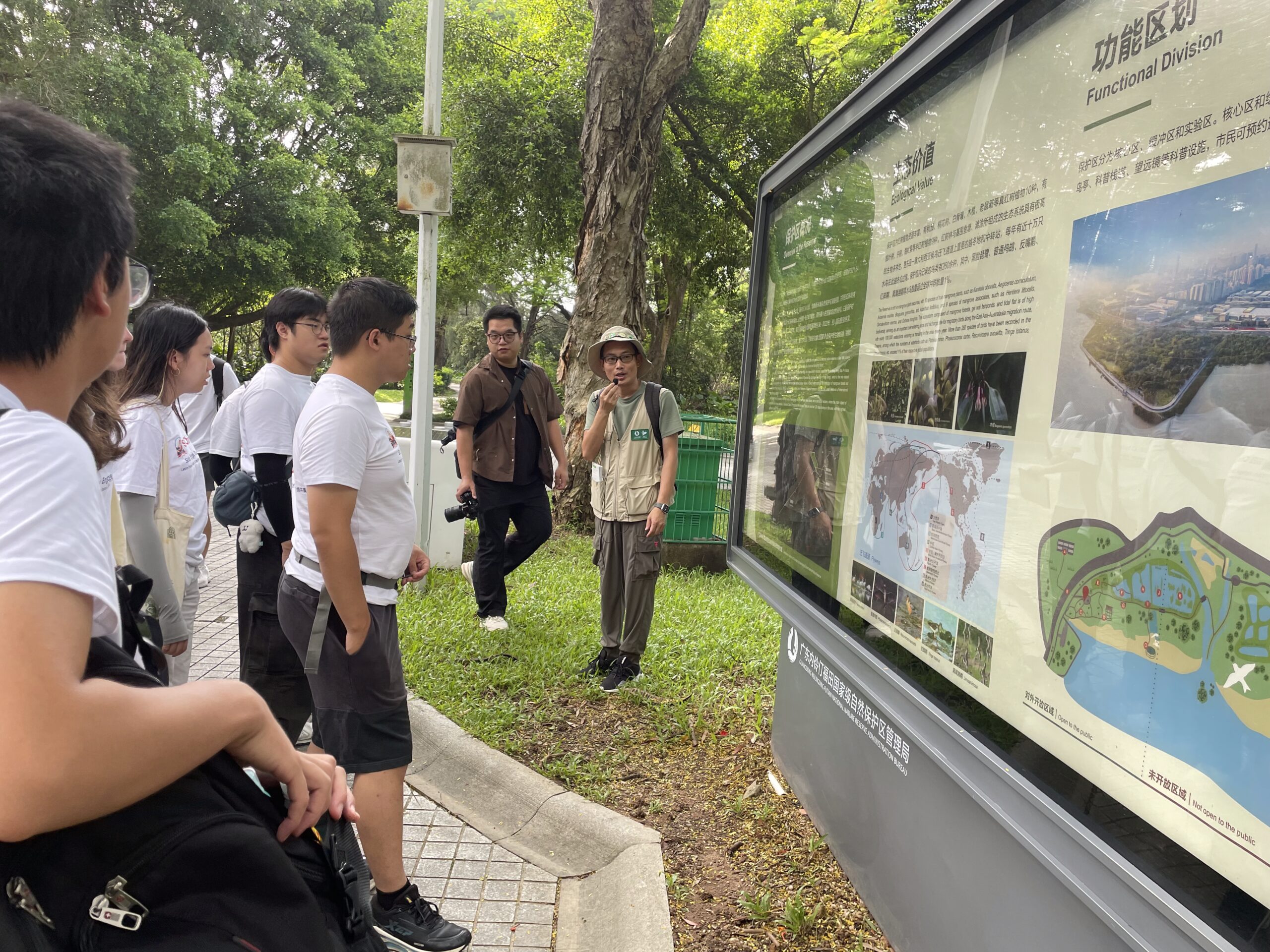 Mangrove 2025.7.15 (38)