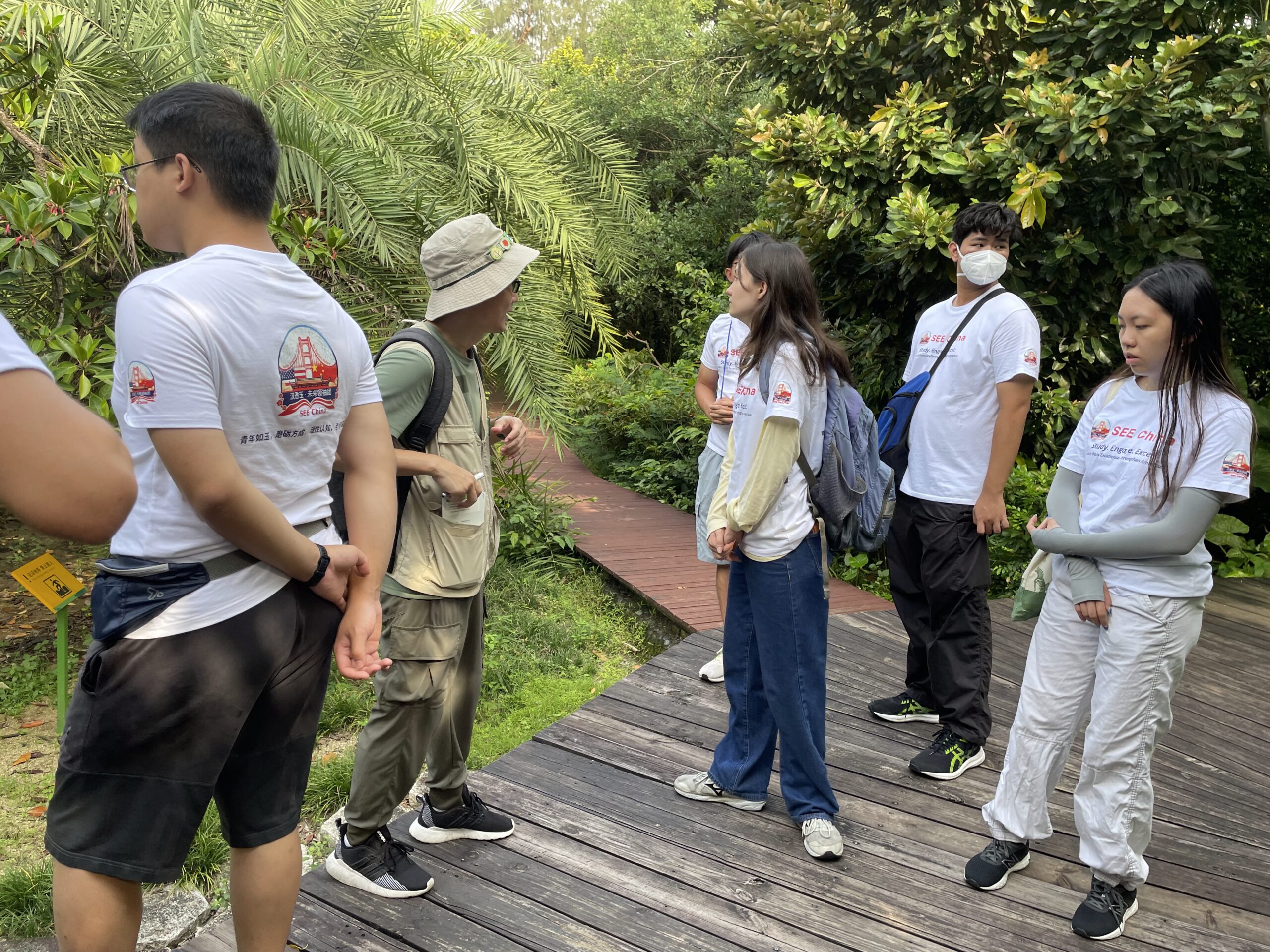 Mangrove 2025.7.15 (42)