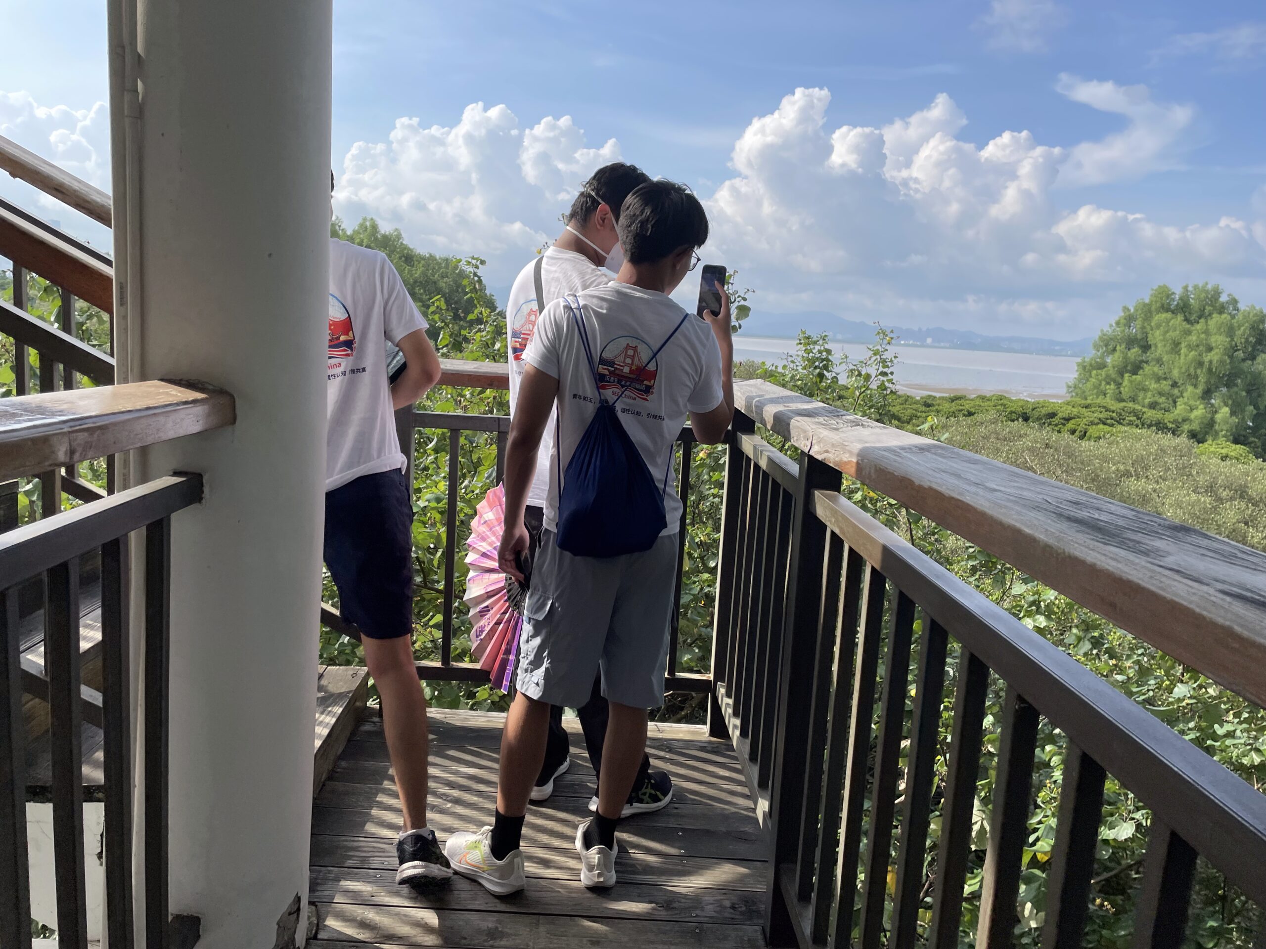 Mangrove 2025.7.15 (48)